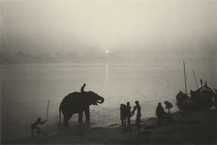 <em>Dawn, The Elephant Festival, Bihar</em>, 1993